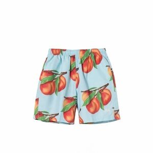 Stussy Peaches Print Swim Water Shorts Size S